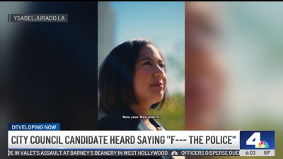 City council candidate criticized for police comment