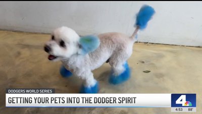 Pet groomers offer to turn pups into Dodger dogs with fur dye