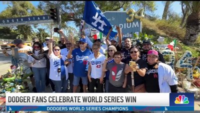 ‘This is Dodger town!' LA fans celebrate World Series win