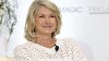 Martha Stewart reveals how she kept her affair a secret from ex-husband Andy Stewart