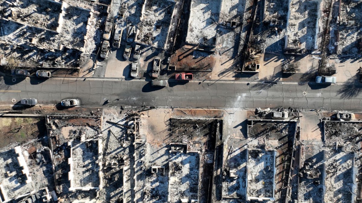 Downed power lines caused deadly Maui wildfires, investigation finds ...