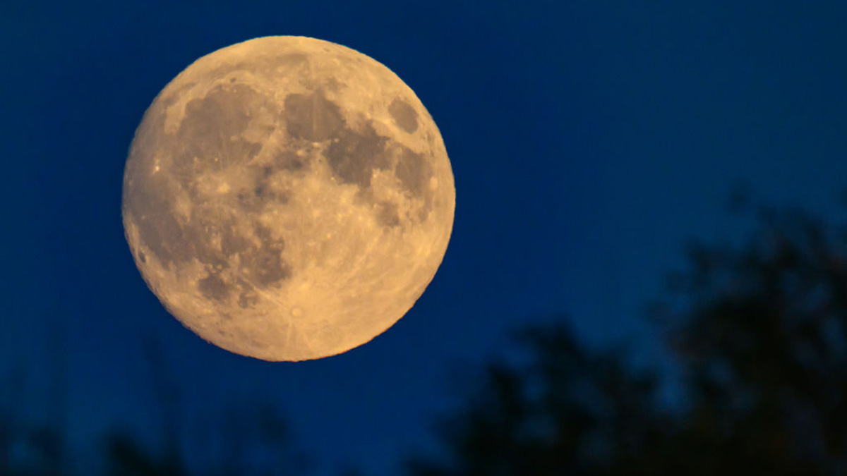 Last supermoon of 2024 When to see it NBC Los Angeles