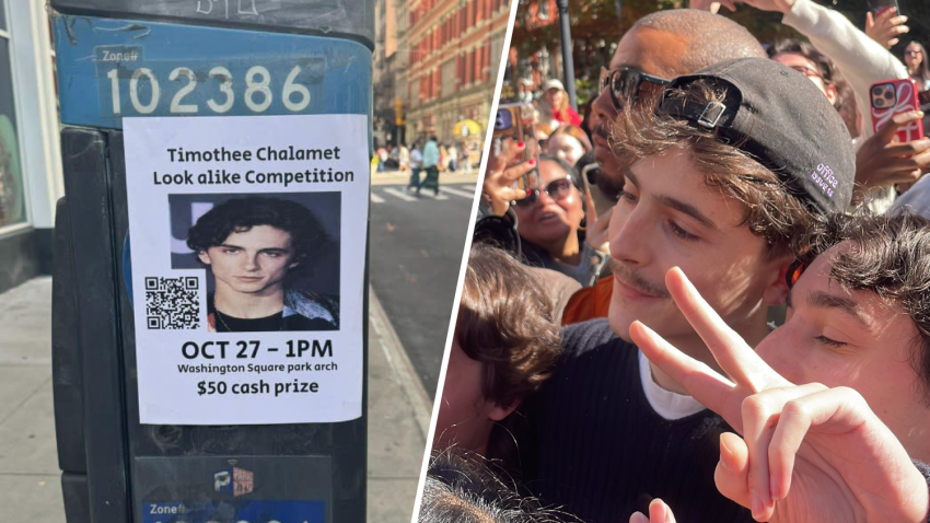 Timothée Chalamet crashes New York City look-alike contest.