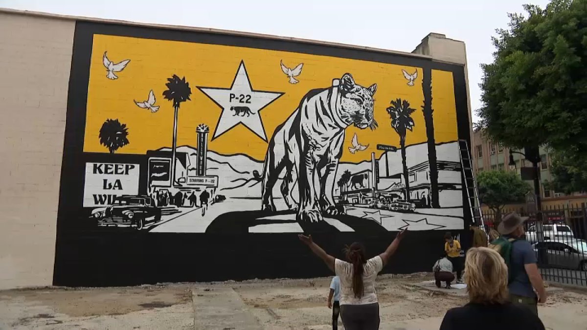 Muralist honors legendary mountain lion P-22 with artwork in Hollywood