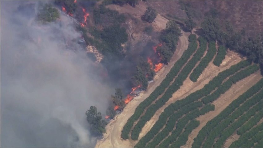 Crops burn in moorpark