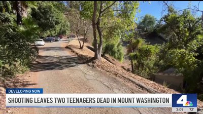 2 teens dead in shooting at Mount Washington lookout