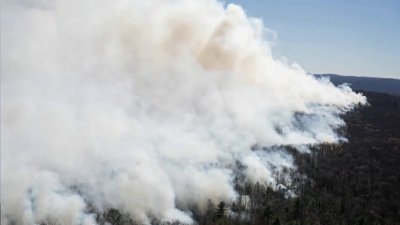 NY forest ranger dies fighting wildfire