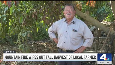 Ventura County avocado ranch destroyed in Mountain Fire