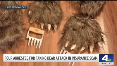 How fake bear attack suspects were busted