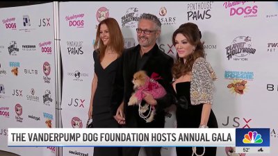 Vanderpump Dog Foundation hosts 6th annual gala in Beverly Hills