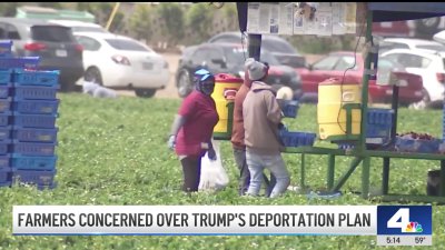 California farmers brace for Trump's mass deportation plans