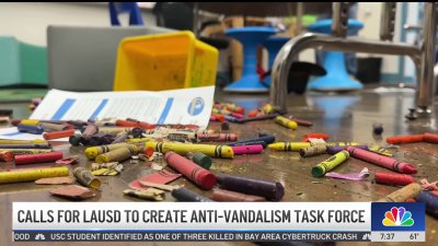 Calls for LAUSD to create anti-vandalism task force