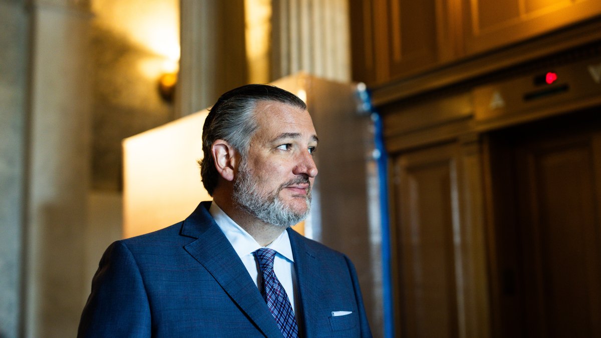 Sen. Ted Cruz calls for elections in Venezuela to proceed ‘rapidly’ Sen. Ted Cruz calls for elections in Venezuela to proceed 'rapidly'