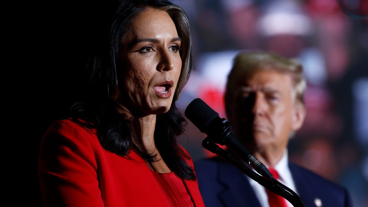 Trump picks ex rep tulsi gabbard as director of national intelligence