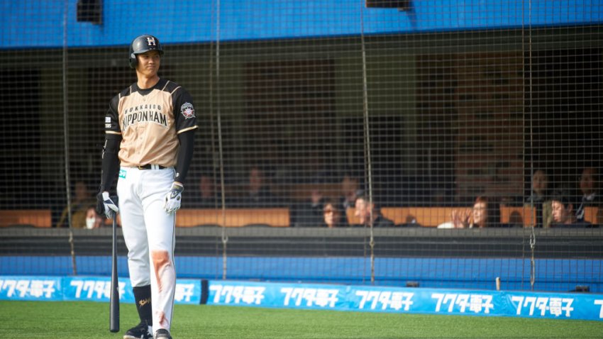 Hokkaido Nippon-Ham Fighters Shohei Ohtani, Nippon Professional Baseball