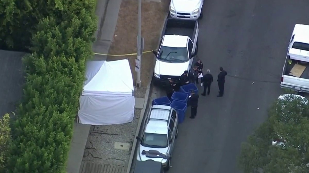 Woman Fatally Shot in Hollywood, Police Investigate