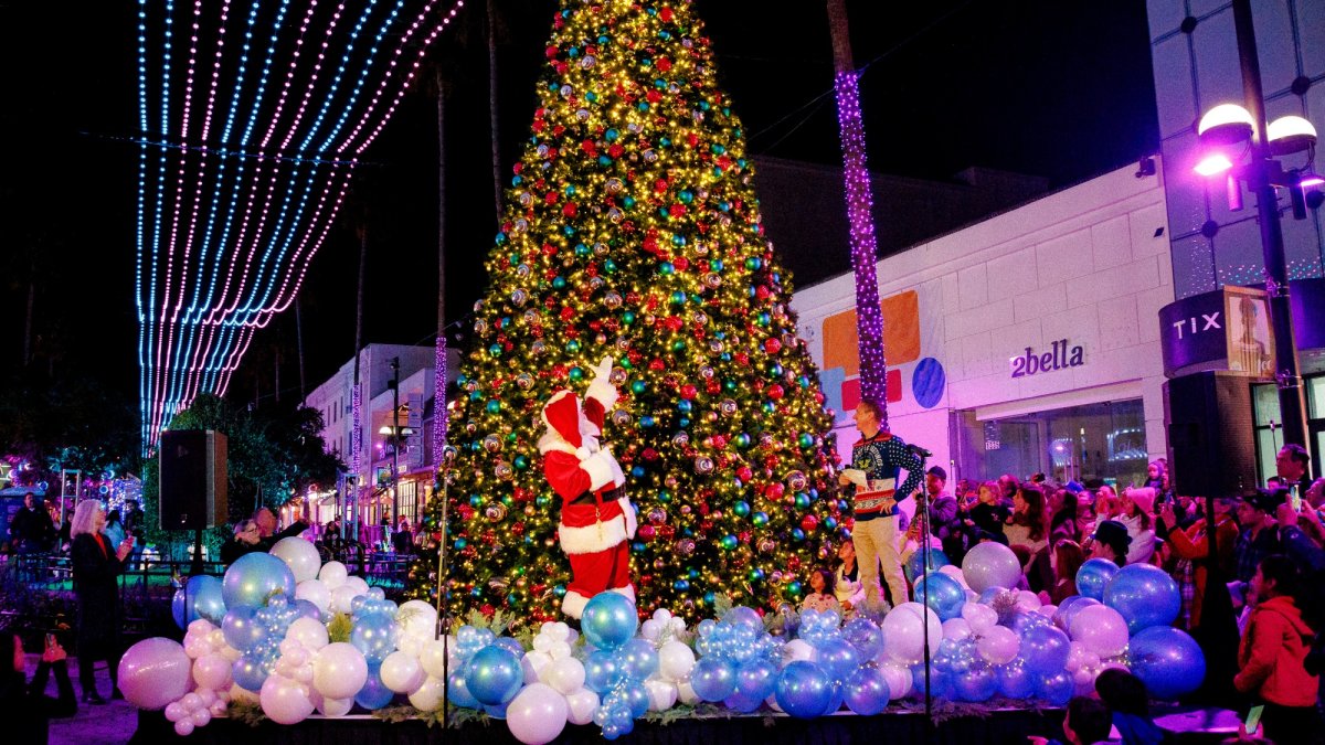 Cities Celebrate Holiday Tree Lighting Events