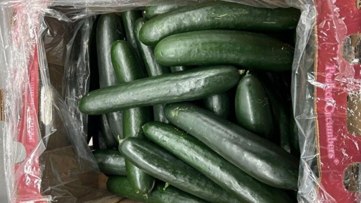 SunFed recalls cucumbers in US and Canada NBC Los Angeles