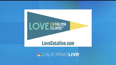 Shop Catalina Island & Holiday Kick Off