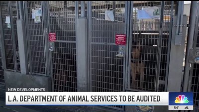 LA City Controller to conduct audit on Animal Services