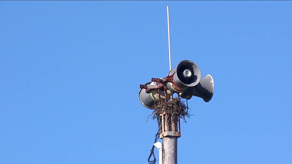 Maui tsunami siren