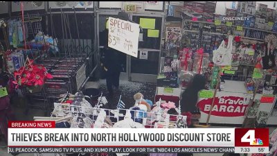 Thieves break into North Hollywood discount store