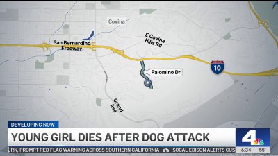 Young girl dies after dog attack