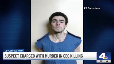 Suspect charged with murder in CEO killing