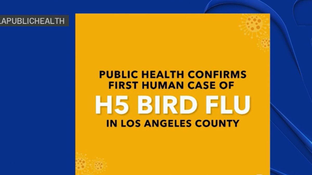 First human case of H5 bird flu confirmed in LA County – NBC Los Angeles