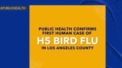 First human case of H5 bird flu confirmed in LA County