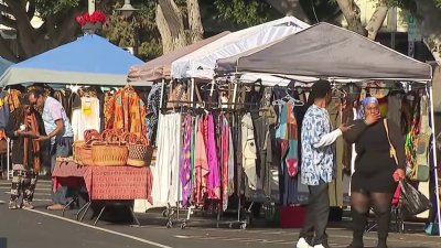 Kwanzaa celebration kicks off in South LA