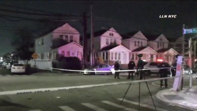 Queens mother killed in Christmas night hit-and-run near her home