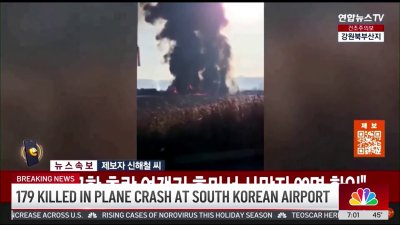 South Korea plane crash claims 179 lives