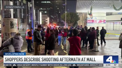 2 security guards shot at downtown LA shopping mall