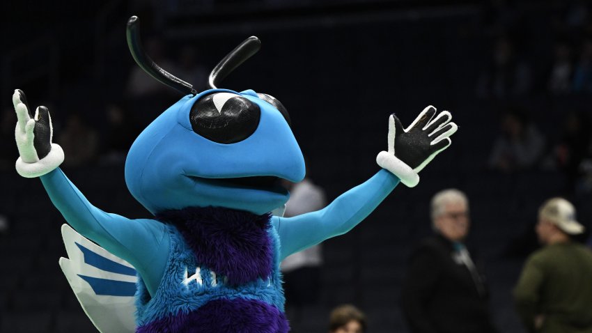 Hornets