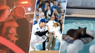 A man embraces his cat after she's rescued from a fire. Shohei Ohtani and Decoy celebrate their first pitch. A bear enjoys a pool float in a Monrovia backyard.