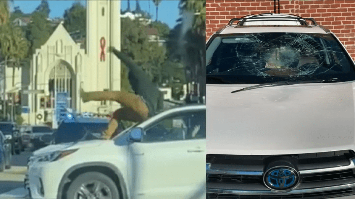 Los Angeles homeless man who vandalized car spends1 night in jail – NBC Los Angeles