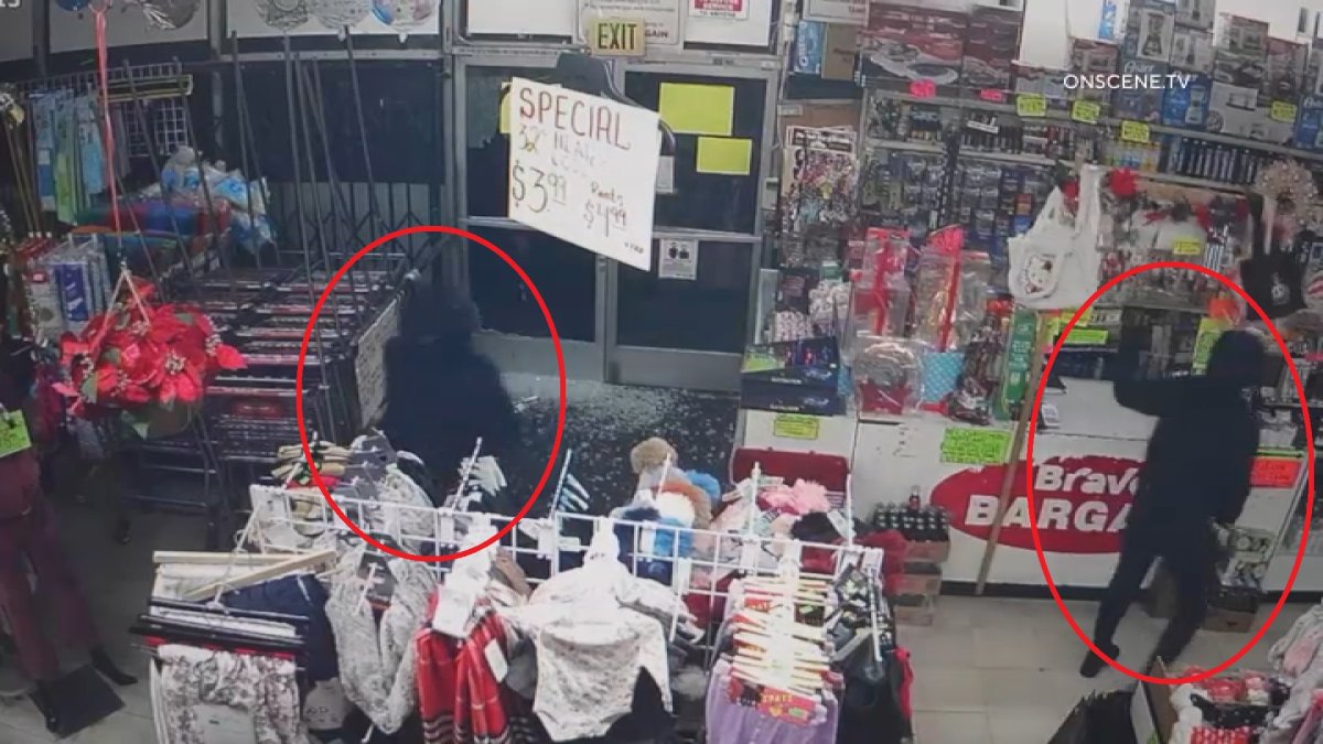 Caught on camera: Trio of thieves break into discount store in North Hollywood