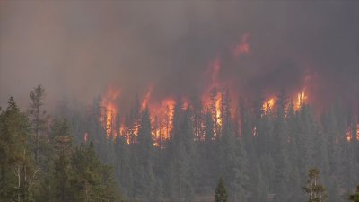 How do wildfires get their names?