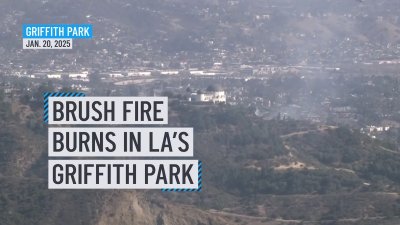 Firefighters knock down brush fire in Griffith Park