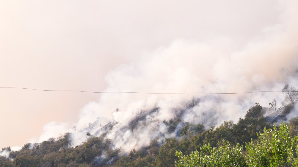 Death Toll Rises to 16 as LA Fires Devastate Thousands of Structures – NBC Los Angeles