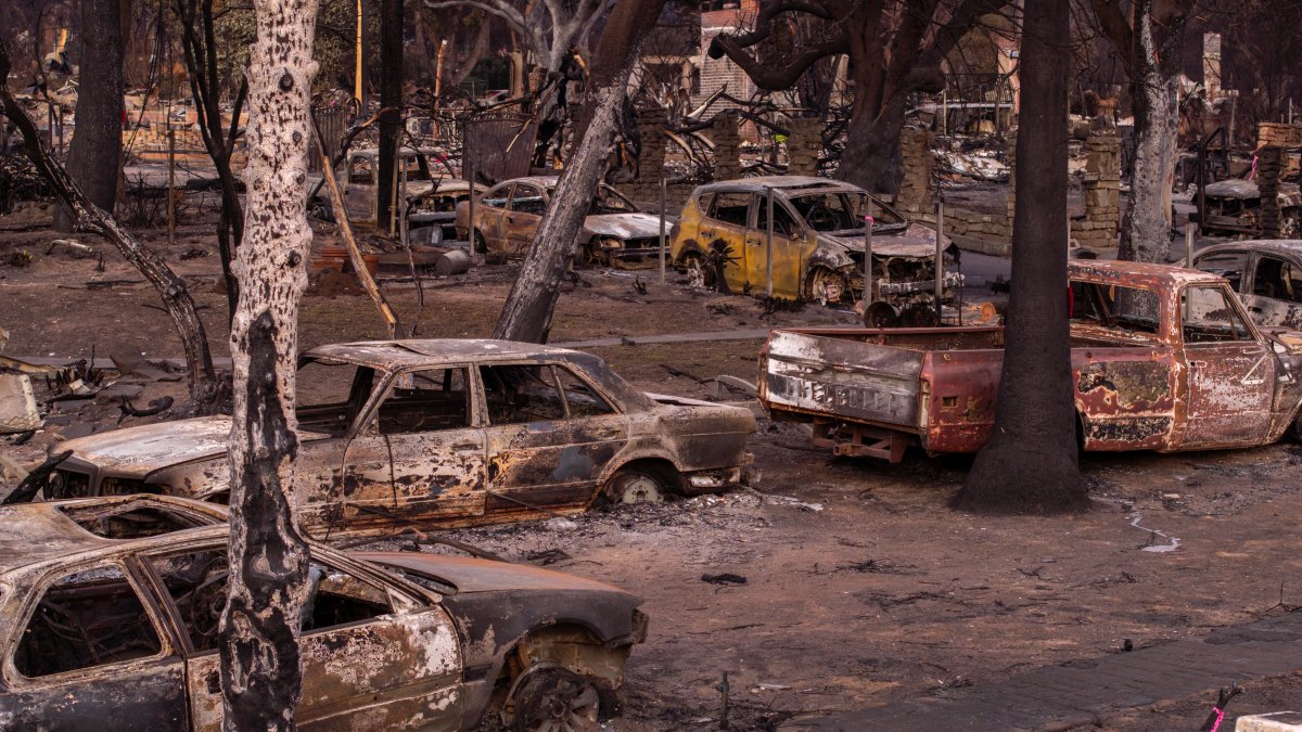 New disaster recovery center opens in Altadena – NBC Los Angeles