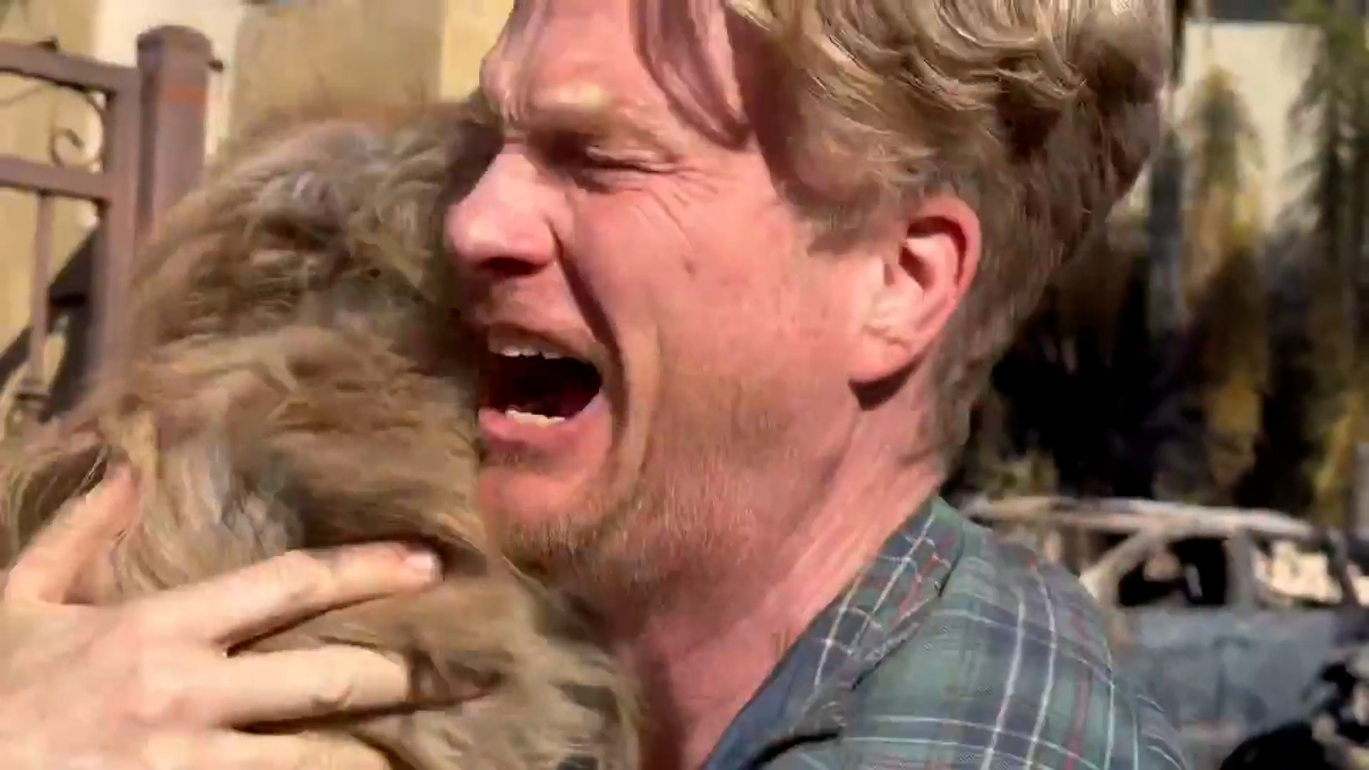 Video: Tearful reunion for man, dog after Palisades Fire