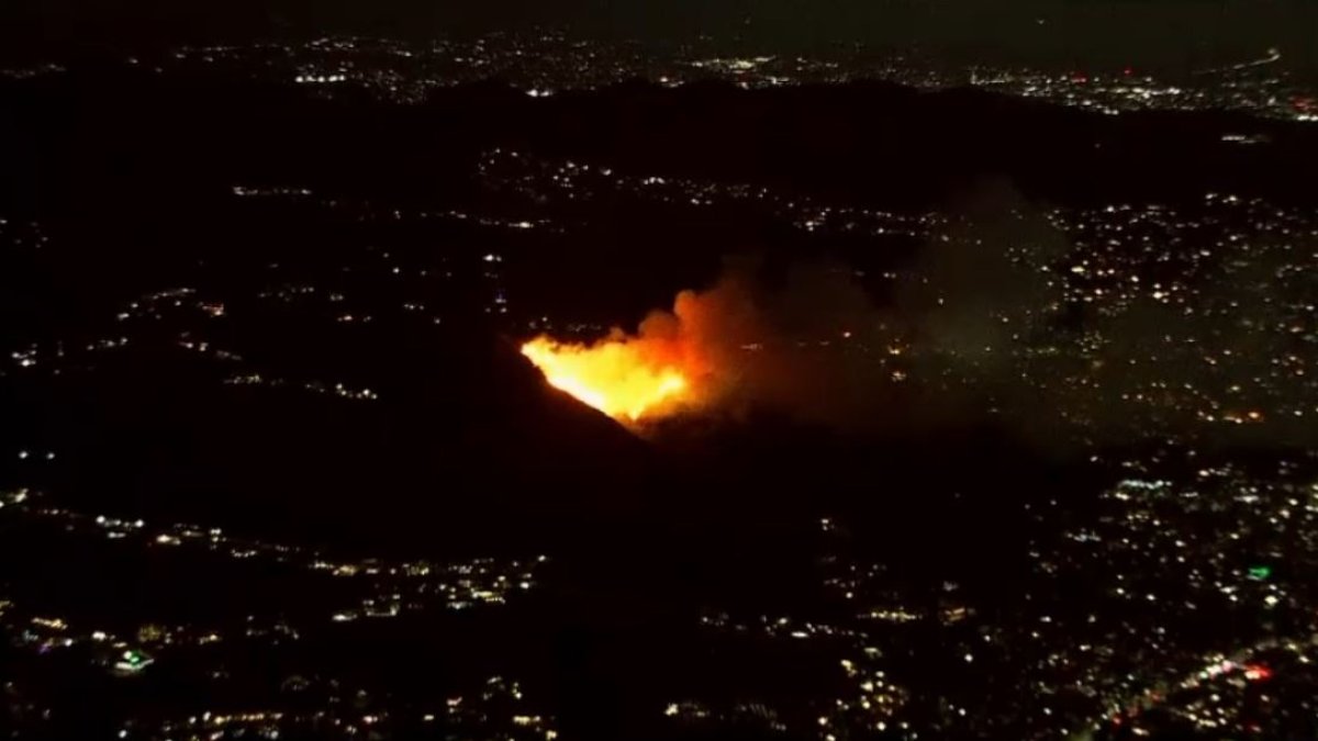 Wildfires Rage Through Los Angeles: Communities Evacuated and Homes Destroyed