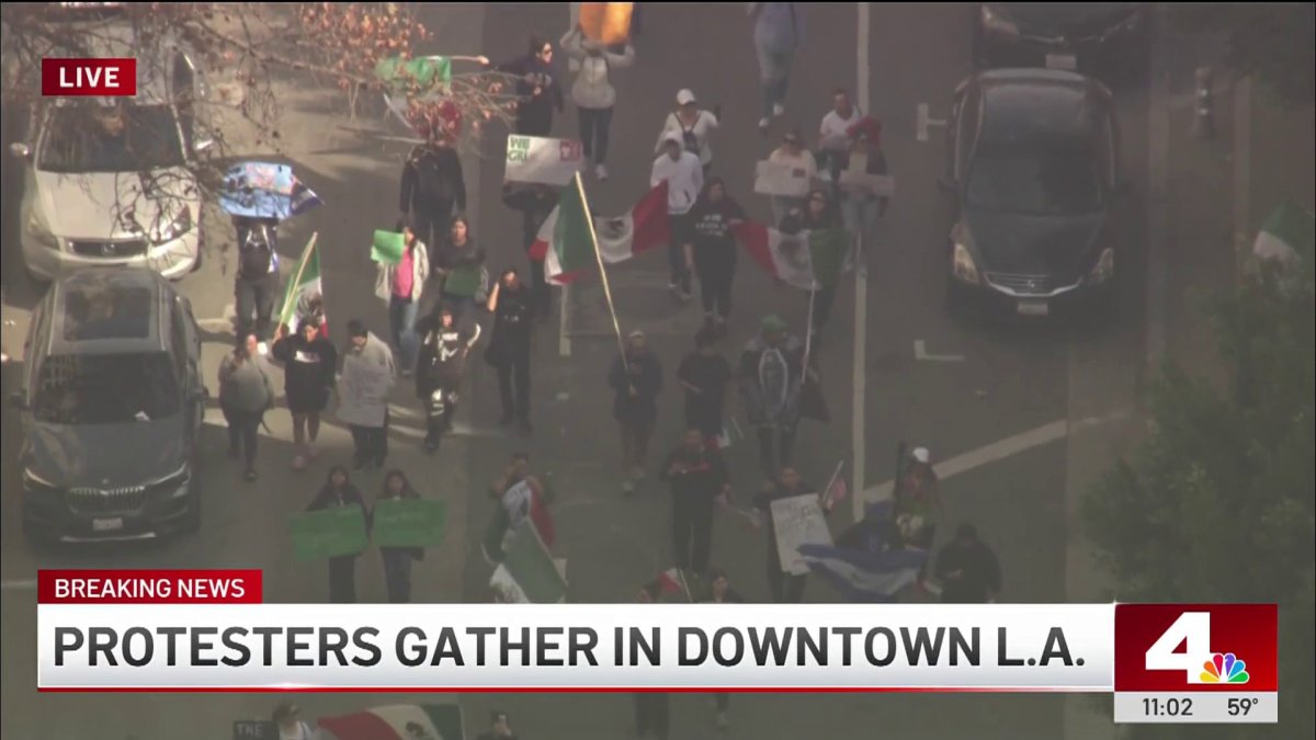 Hundreds Detained Amid Ongoing Immigration Protests in Los Angeles