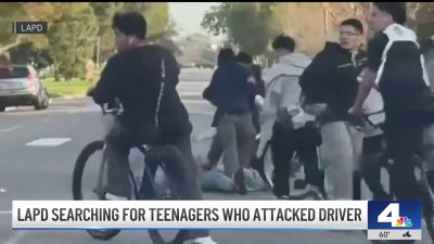 Group of teens mercilessly attack man in broad daylight