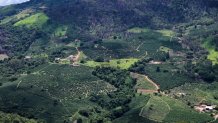 Coffee plantations in Caconde, Brazil. The country produces more coffee than any other, but severe drought has dented its yields.