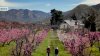 Visit the largest Black-owned farm in Los Angeles County