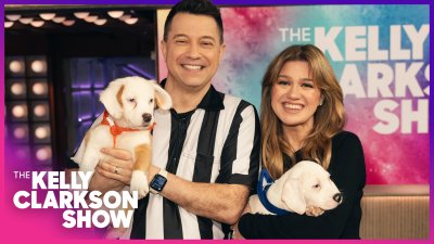 Kelly Clarkson meets adorable puppy bowl 2025 players