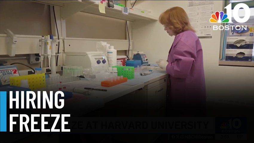 Harvard, MIT issue hiring freezes amid uncertainty surrounding federal funding